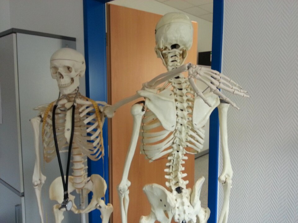 Doctor hospital model