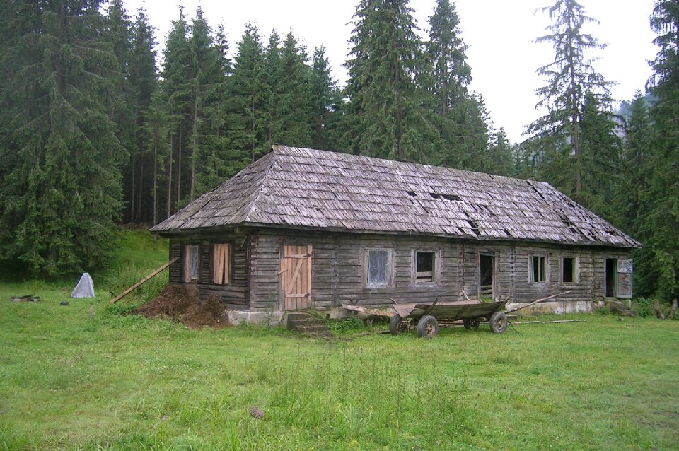 Wooden house cart forest