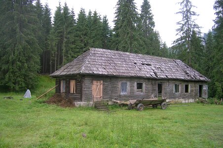 Wooden house cart forest photo