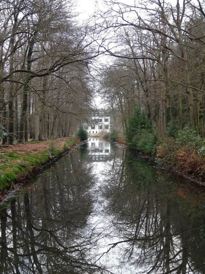 Netherlands landscape water