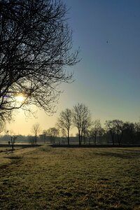 Morgenstimmung nature frost photo