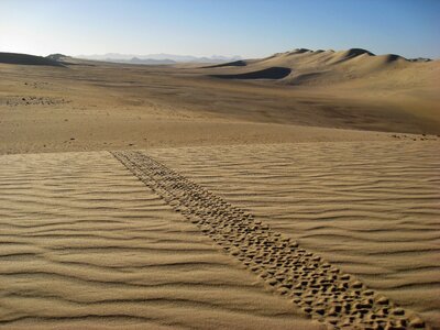 Sand dunes traces photo