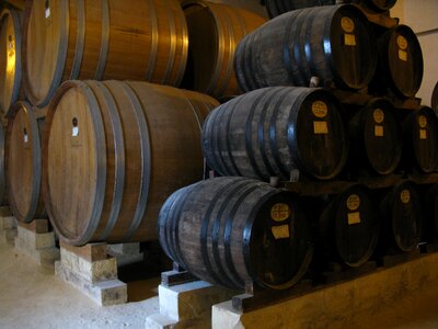 Vault barrels wine