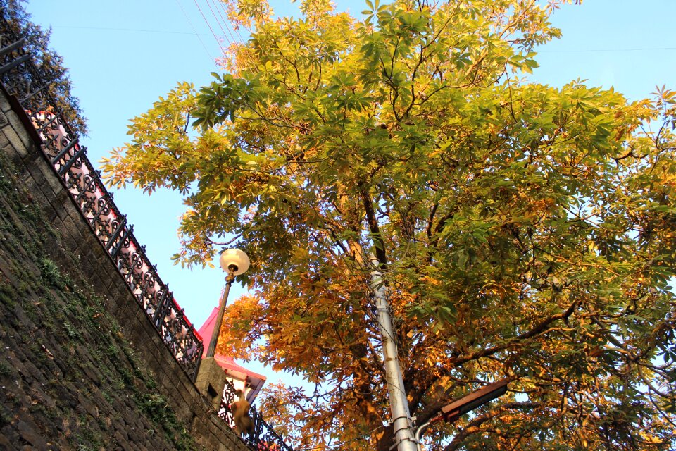 Environment natural sky