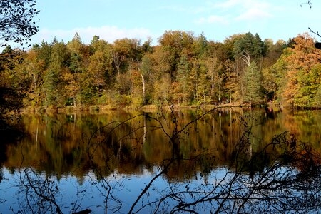Bear lake stuttgart reflect