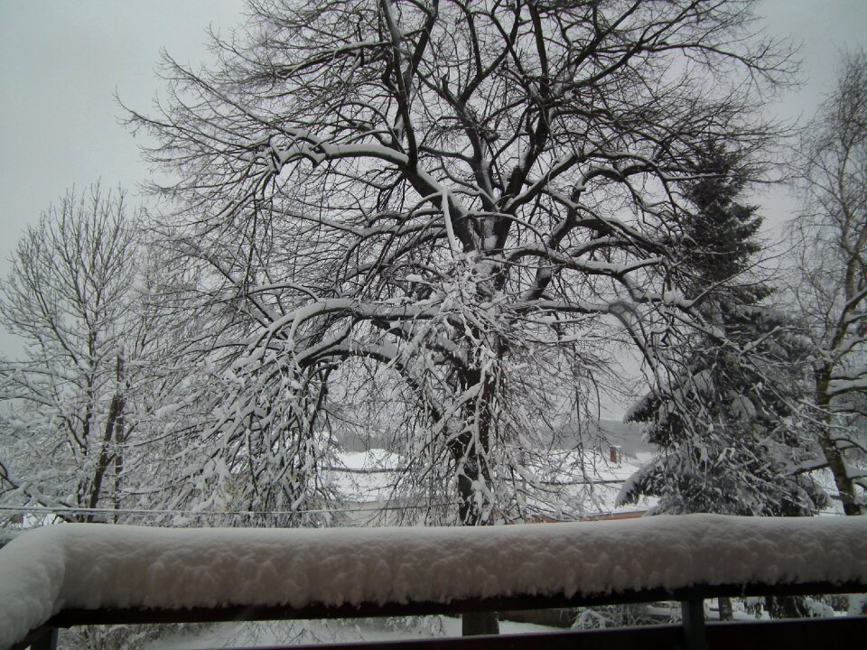February snow winter mood