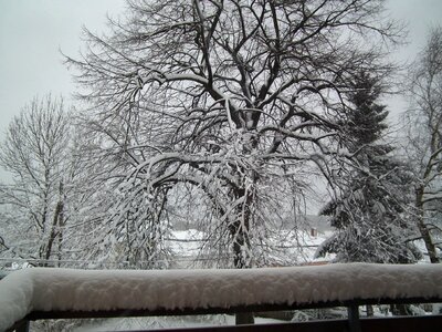 February snow winter mood