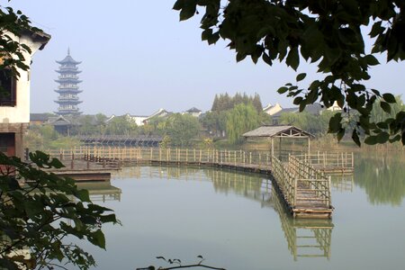 Green old landscape