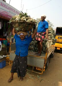 Mumbai fruits market photo