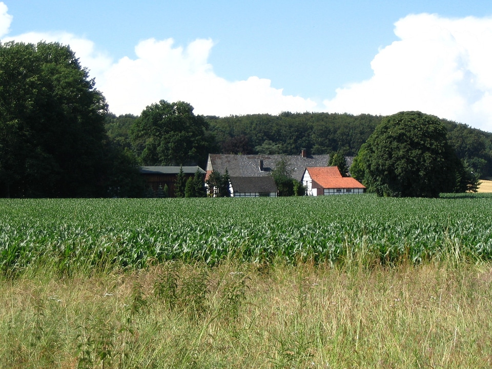 Tree fachwerkhaus village photo