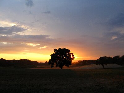 Tuscany summer colors photo