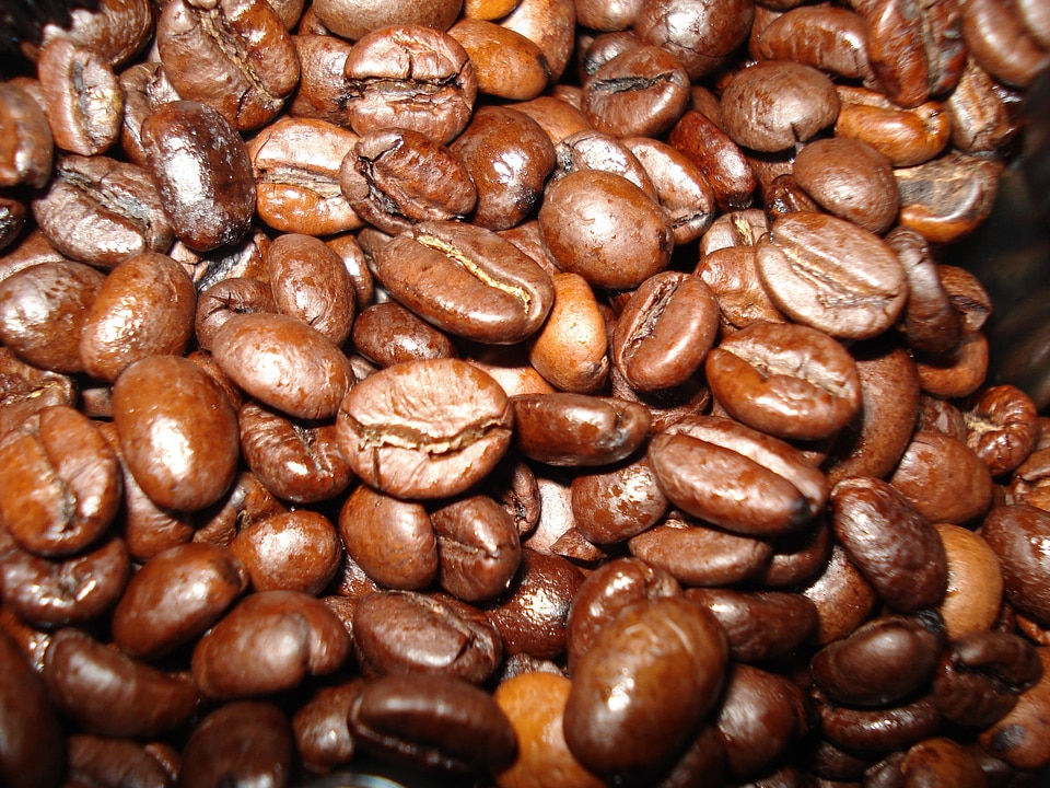 Brown beans roasted