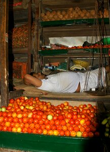 Fruits rest sleep photo