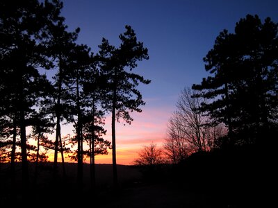 Sunset forest abendstimmung