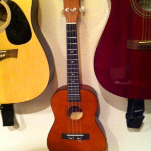 Instrument acoustic musical