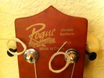 Guitar instrument acoustic