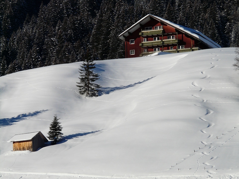 Traces in the snow photo