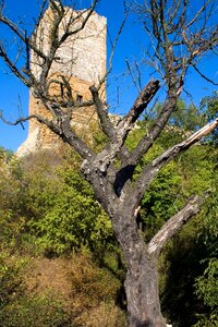 Thuringian forest castle ruins the three same