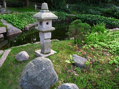 Park pond photo