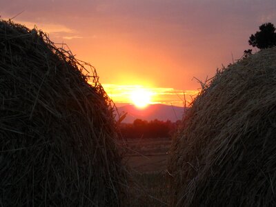 Landscape maremma tuscany photo