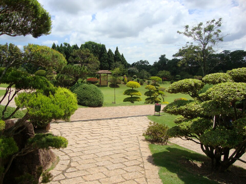 Park nature landscape