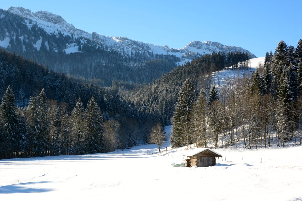 Nature forest mountains