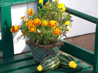 Deco autumn-flowers rest