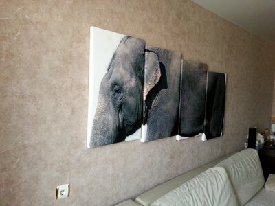 Modular painting elephant animals