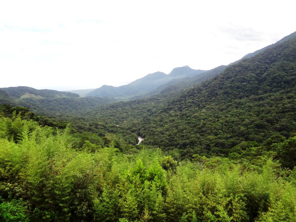 Mountain brazil nature