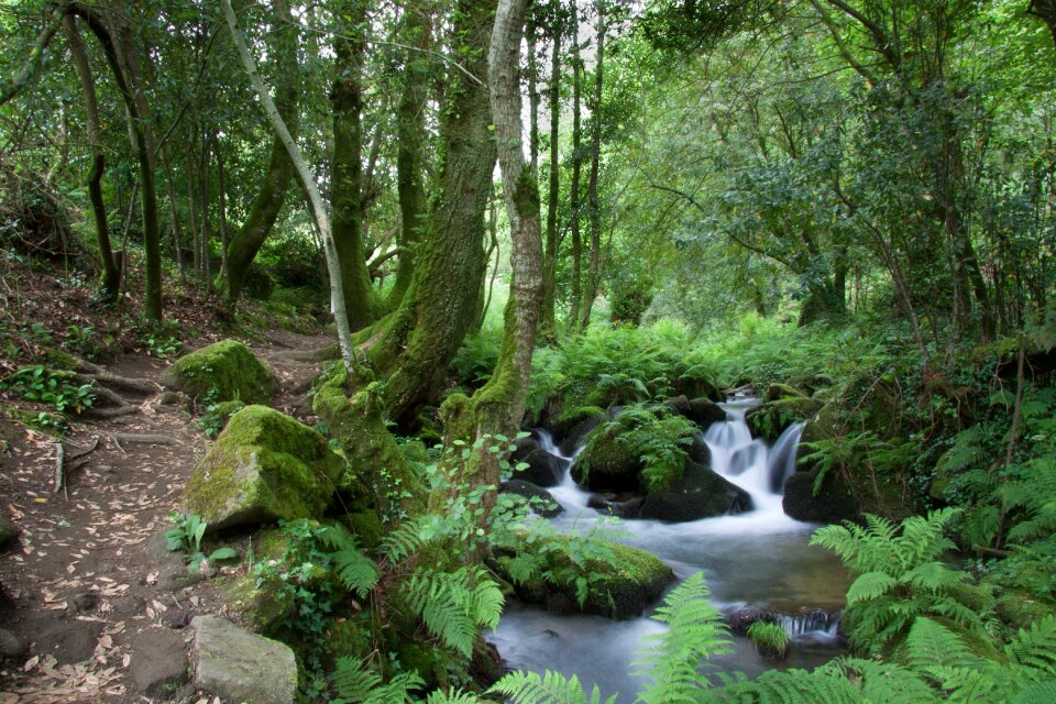Nature mountain trail