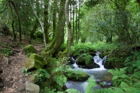 Nature mountain trail photo