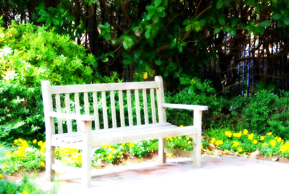 Green yellow rest