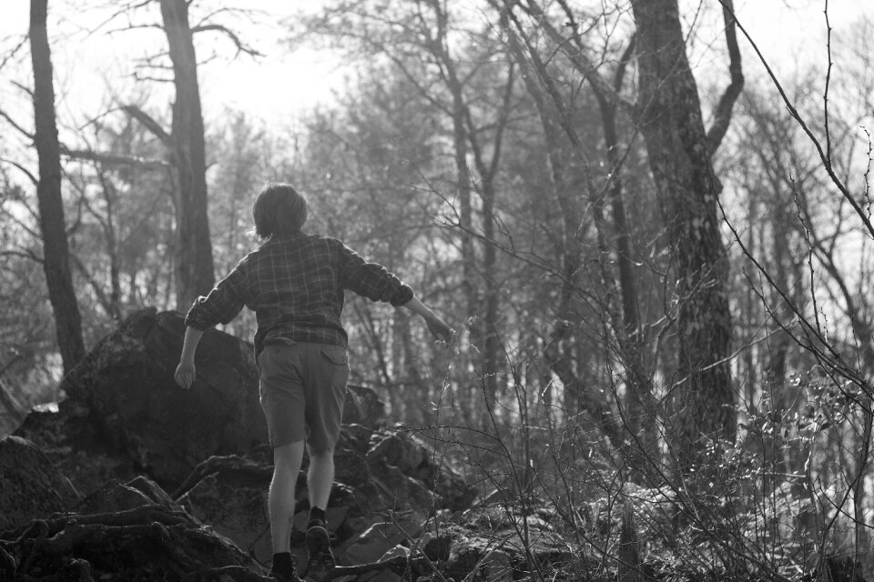 Black and white trees mountain