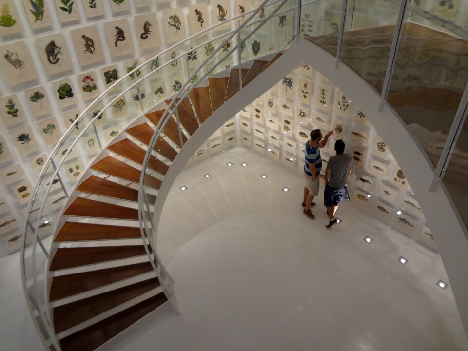 Instituto itaú cultural são paulo brazilian collection