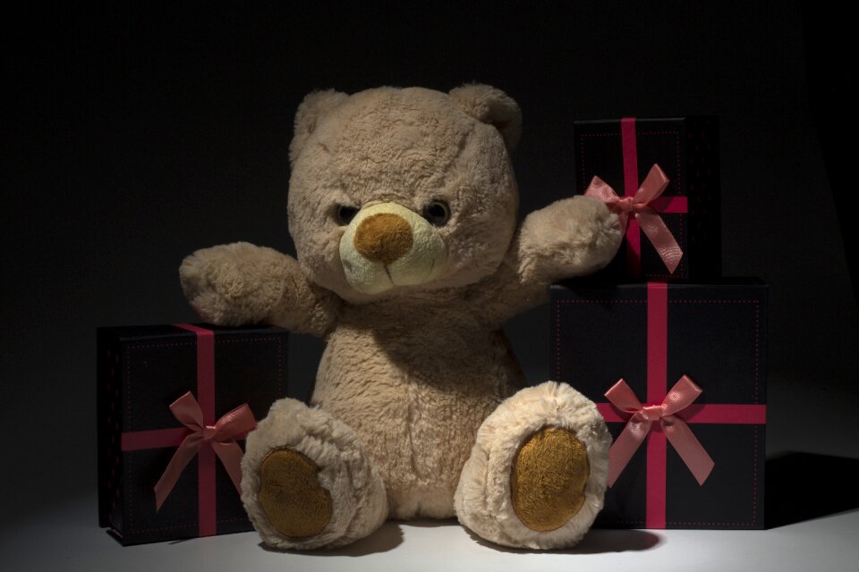 Teddy bear plush gifts