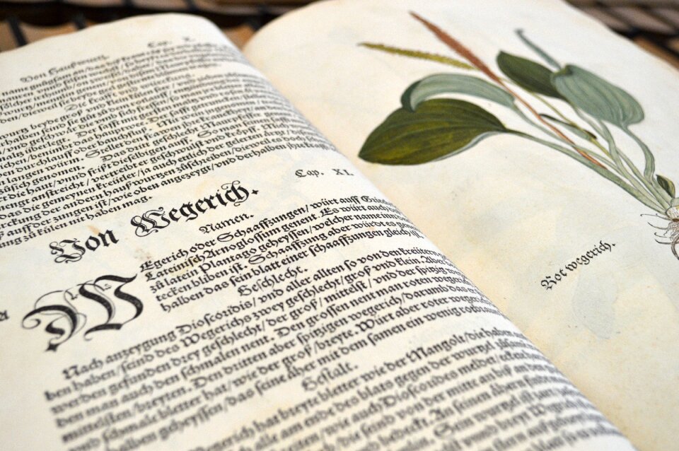 Old library latin