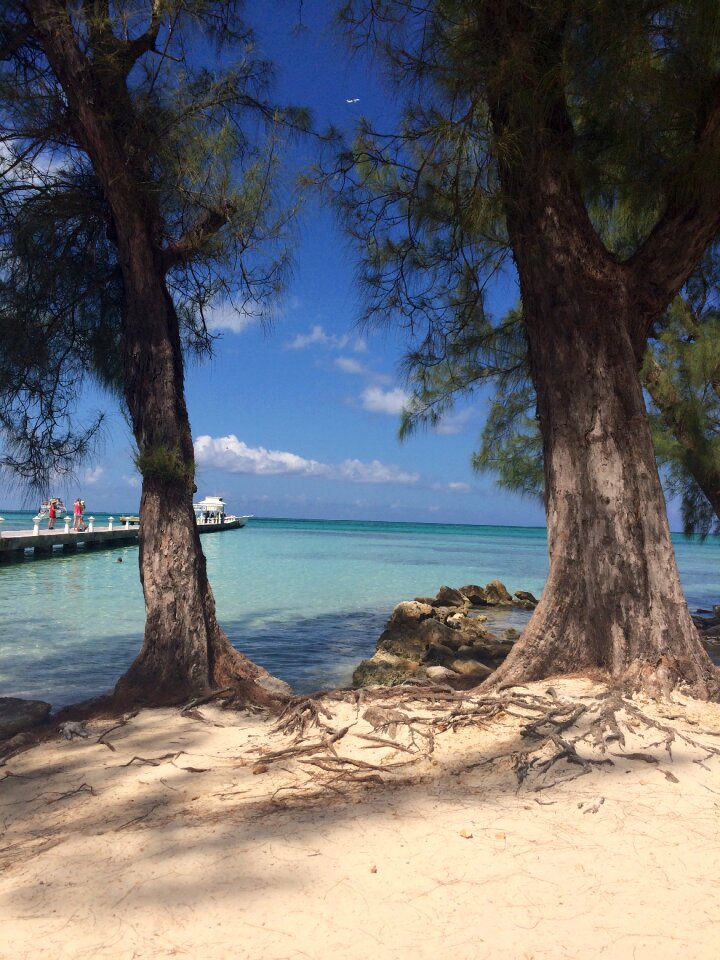 Island tropical summer