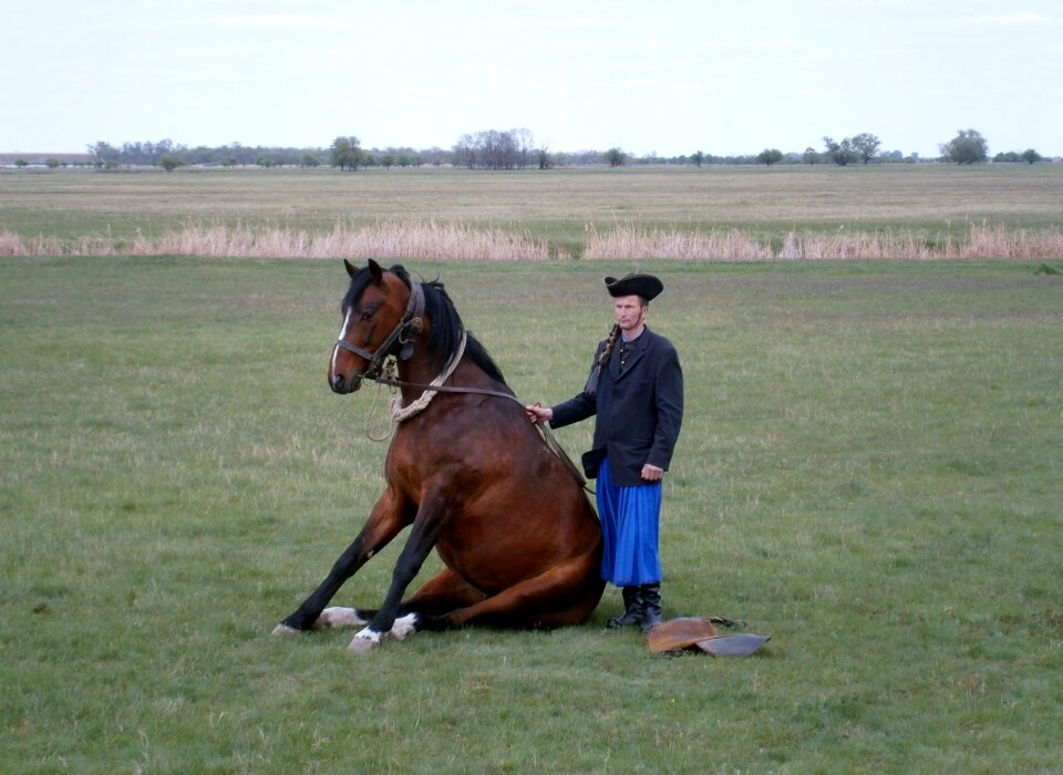 Rider drezůra costume