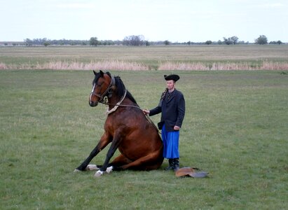 Rider drezůra costume