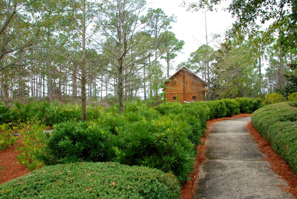 Walkway path natural photo