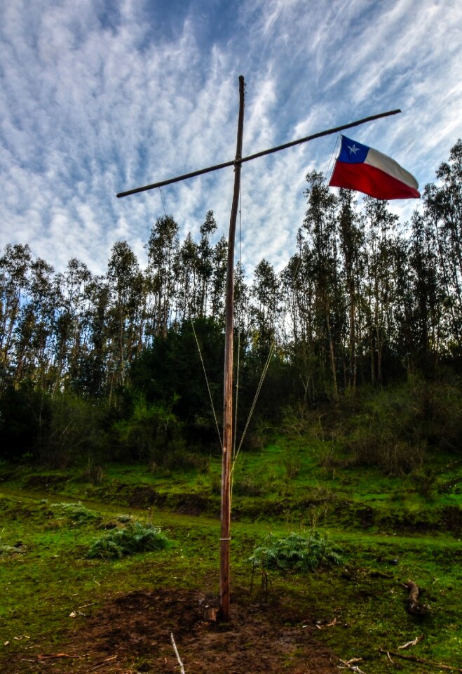 Scouts cruz sky