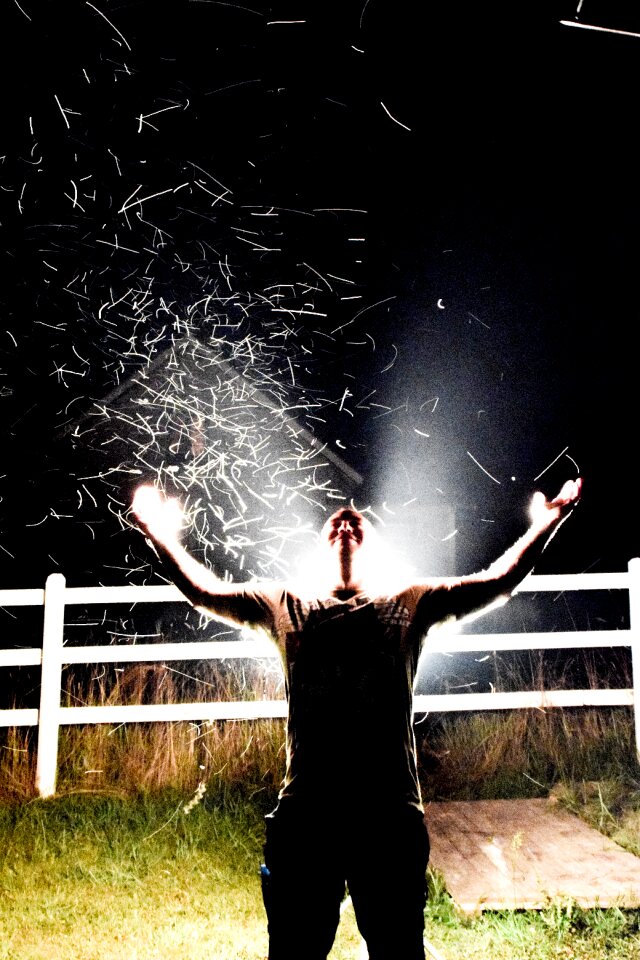 Holy lord of the flies fence