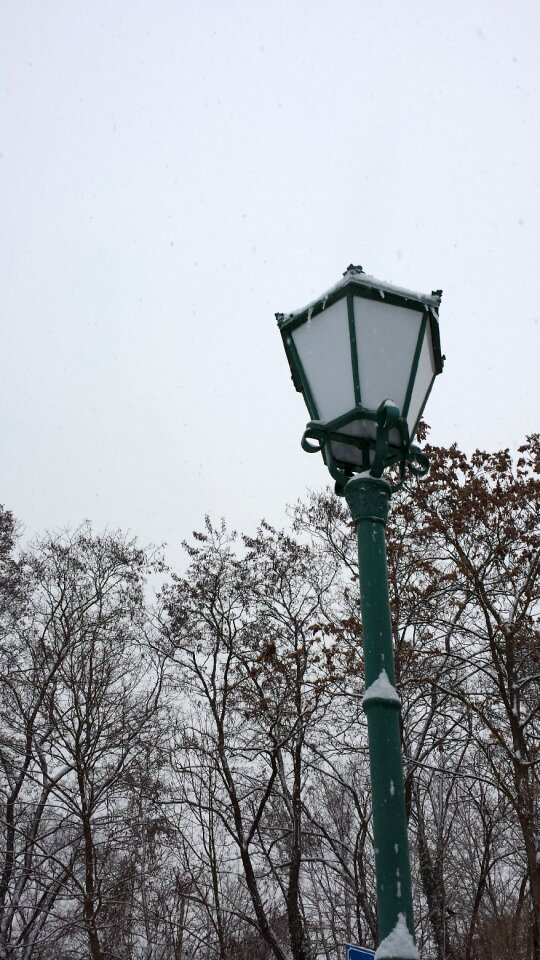 White black cold