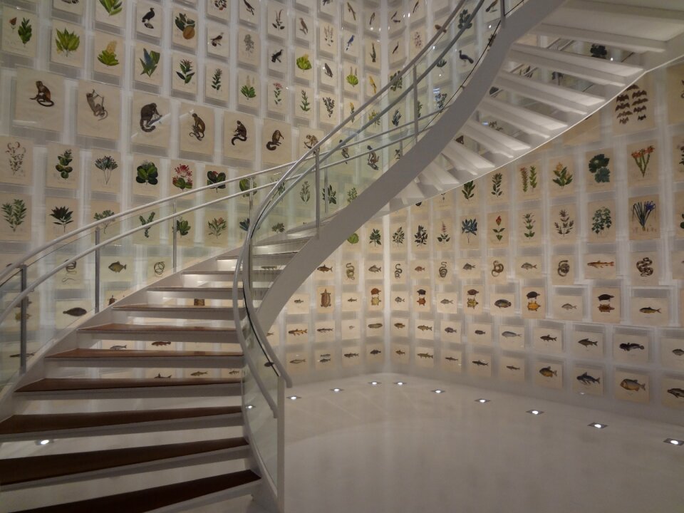 Brazilian collection instituto itaú cultural são paulo