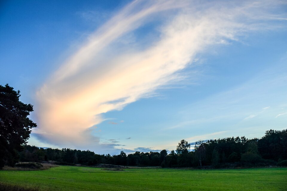 Landscapes cloud summer