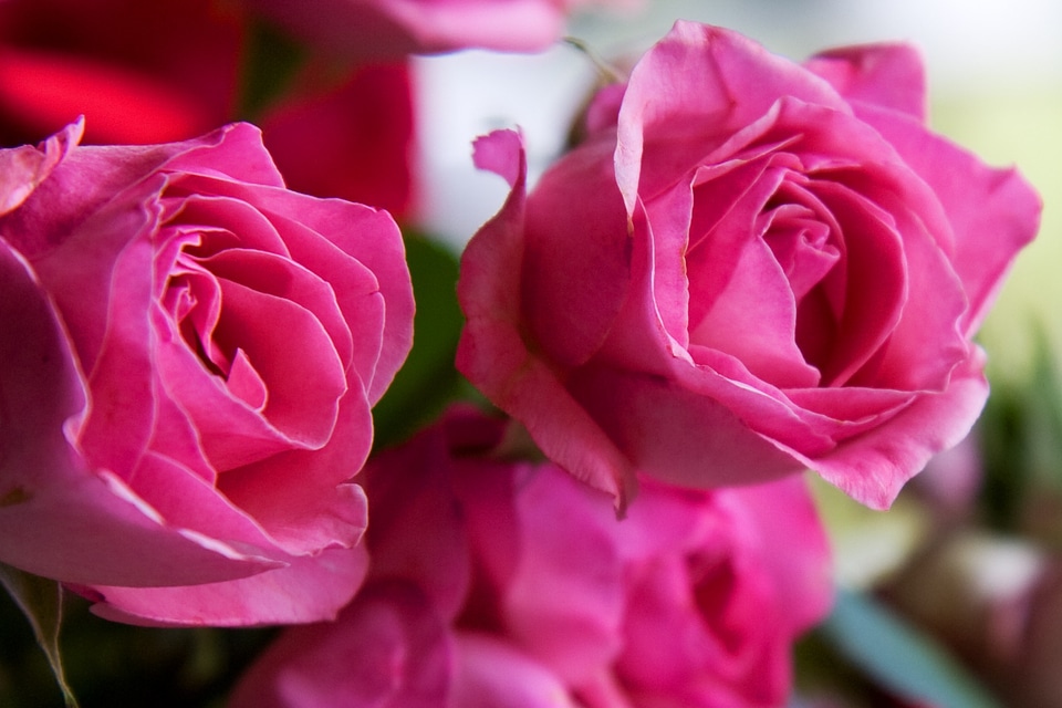 Floral love bouquet