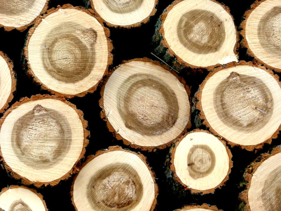 Holzstapel hardwood tree trunks