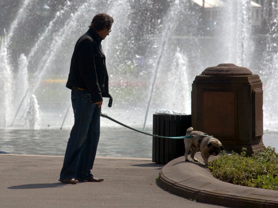 Human dog water games