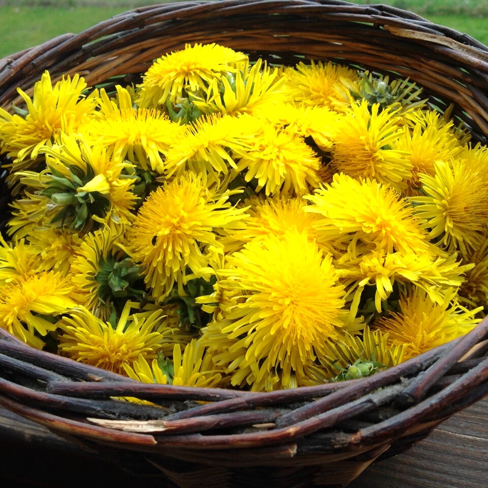 Spring yellow flower basket