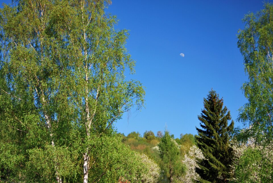 Blue sky moon bieszczady